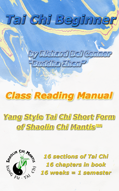 Book cover of Tai Chi Beginner